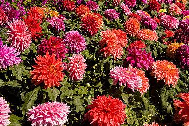 Unity全面取消Runtime费用 安装游戏不再收版费