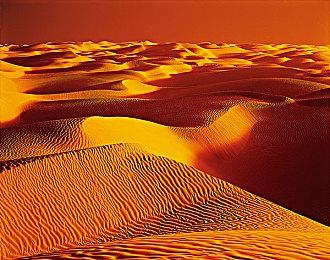 第三人称动作射击《安妮的游戏》登陆steam 性感美女冒险